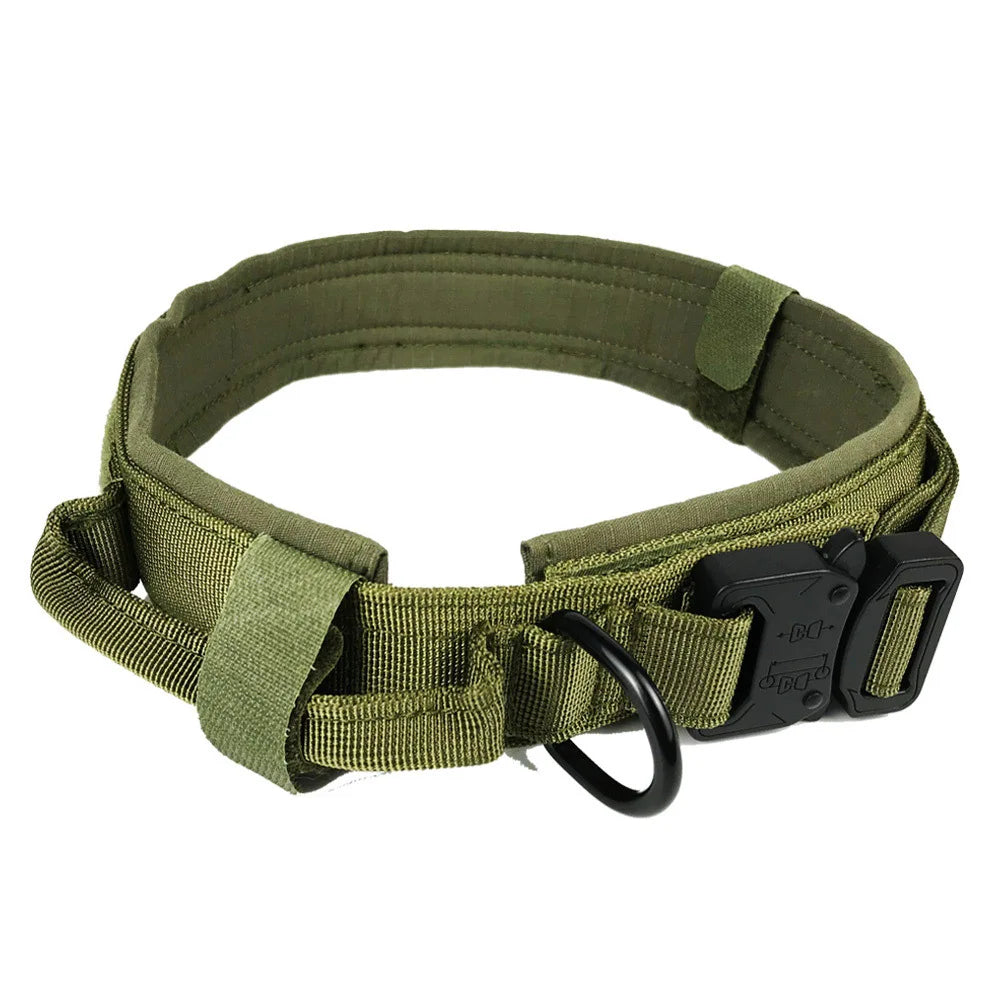 Laisse de Dressage pour Chien en Nylon Durable pour Races Moyennes et Grandes