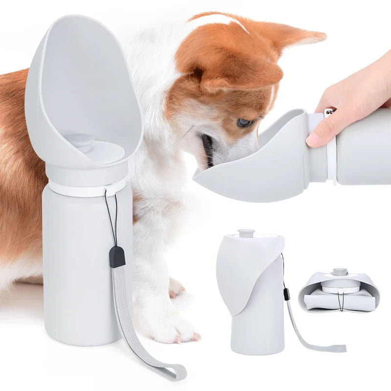 Bouteille d’eau pliable en silicone pour animaux
