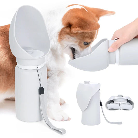 Bouteille d’eau pliable en silicone pour animaux