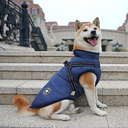 Manteau d'hiver imperméable pour animaux avec harnais intégré pour chiens et chats