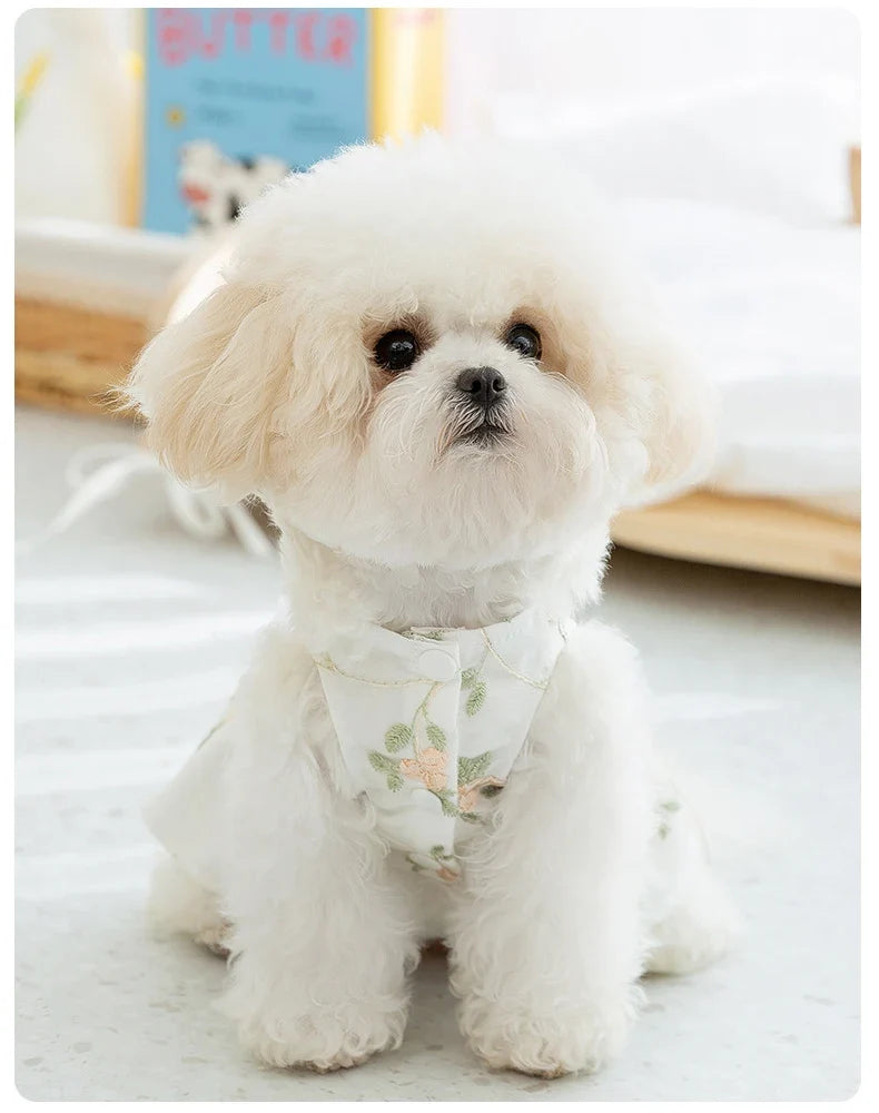 Robe Princesse Respirante pour Chien avec Boucle de Harnais Intégrée