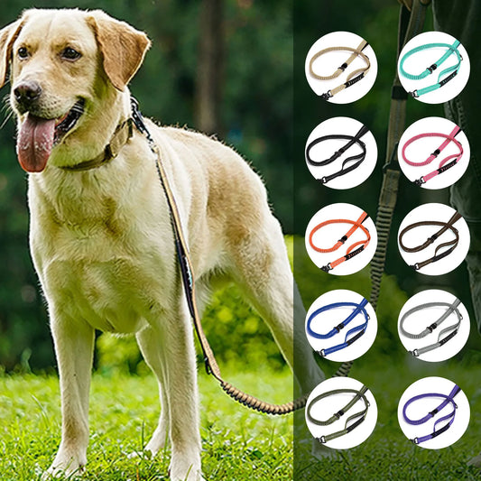 Laisse Tactique Bungee Amortissante pour Chien avec Attache Rapide