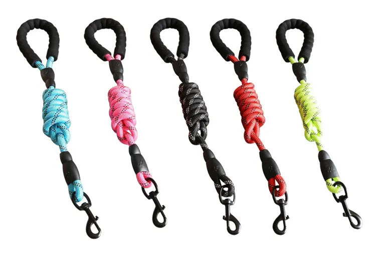 Laisse pour Chien en Nylon Réfléchissant Bold pour Promenades Nocturnes Sécurisées