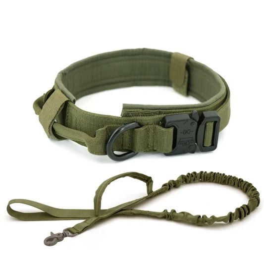 Laisse de Dressage pour Chien en Nylon Durable pour Races Moyennes et Grandes