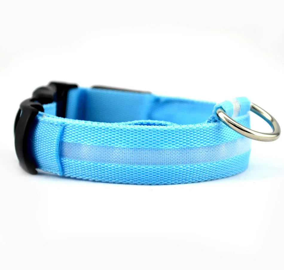 Collier LED Clignotant SinSky pour Animaux de Compagnie pour Visibilité et Sécurité Nocturnes