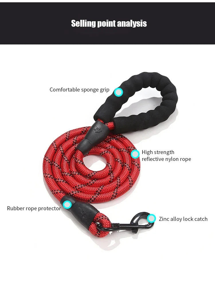 Laisse pour chien en nylon tressé robuste pour une promenade en toute sécurité