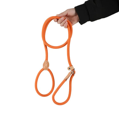 Laisse Coulissante en Nylon Durable pour Chien pour un Contrôle Sécurisé