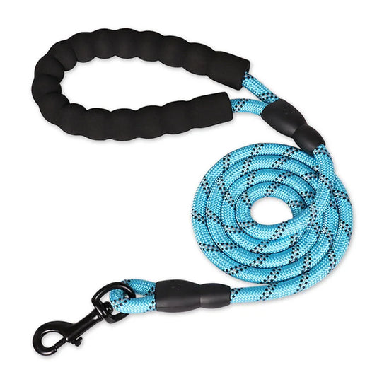 Laisse pour chien en nylon tressé robuste pour une promenade en toute sécurité