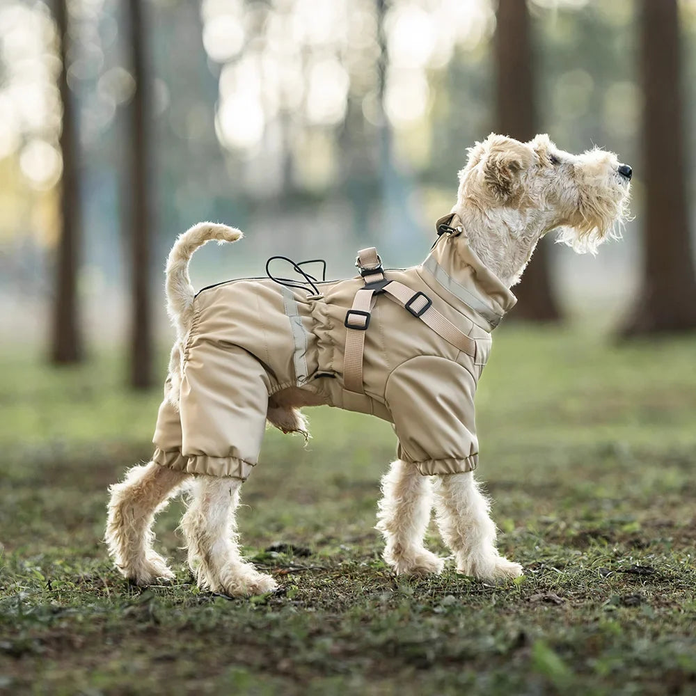 Combinaison Imperméable pour Chien : Veste Quatre Pattes Respirante et Chaude