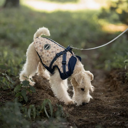 Manteau Matelassé Imperméable pour Chien avec Harnais Intégré