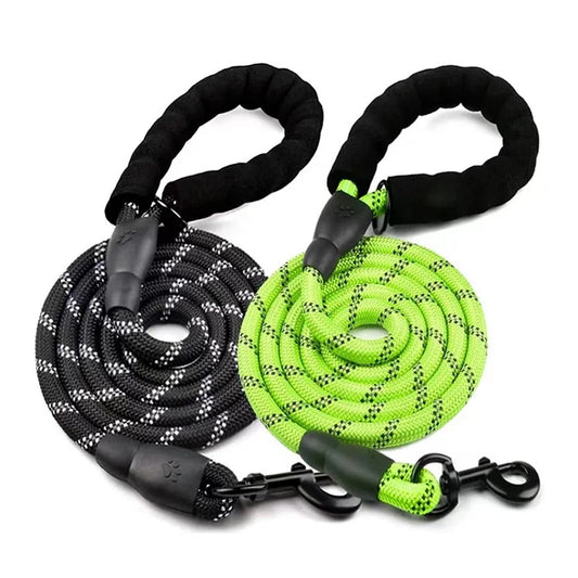 Laisse pour chien en nylon tressé robuste pour une promenade en toute sécurité
