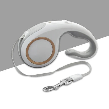 Laisse rétractable pour chien avec lumières pour des promenades sécurisées