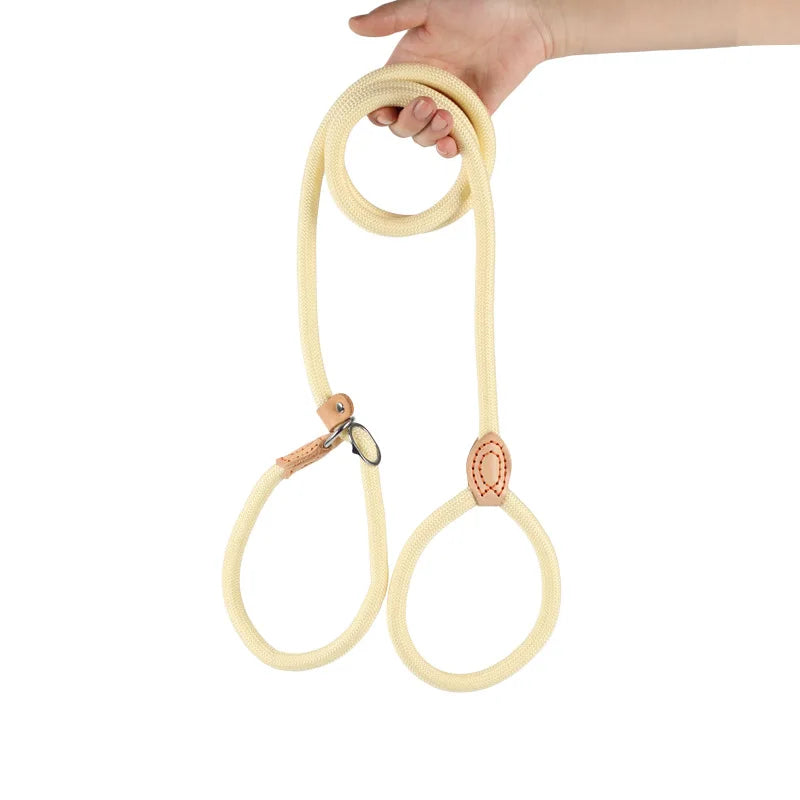 Laisse Coulissante en Nylon Durable pour Chien pour un Contrôle Sécurisé