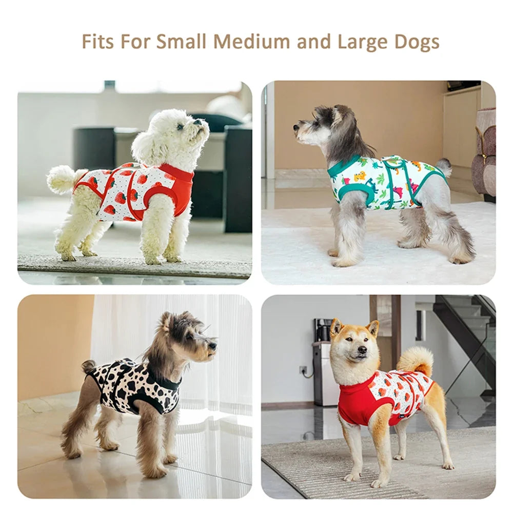 Combinaison de Récupération Post-Chirurgie pour Animaux - Couverture Abdominale Confortable