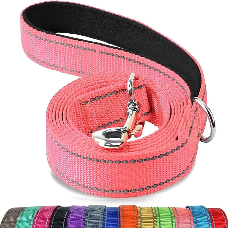 Laisse réglable en nylon réfléchissant pour chien pour des promenades quotidiennes sécurisées