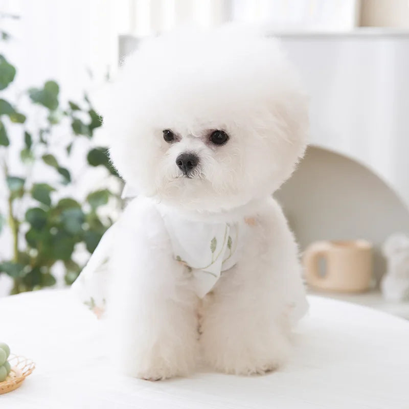 Robe Princesse Respirante pour Chien avec Boucle de Harnais Intégrée