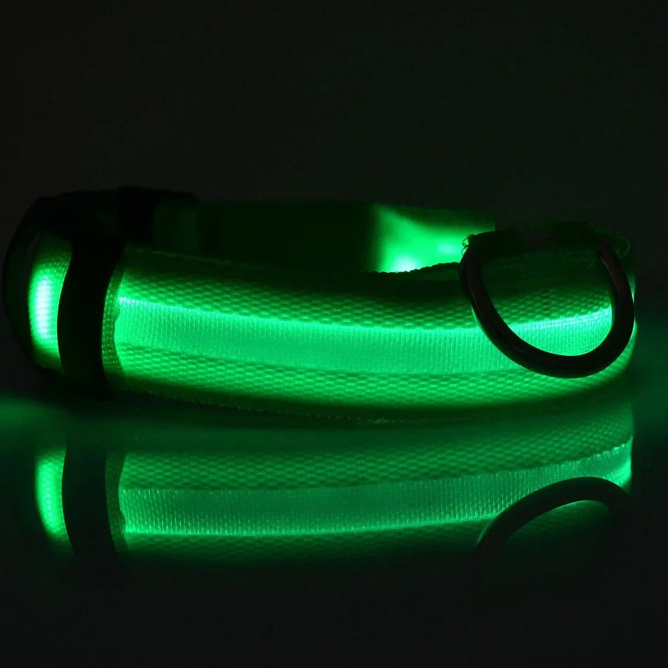 Collier LED Clignotant SinSky pour Animaux de Compagnie pour Visibilité et Sécurité Nocturnes