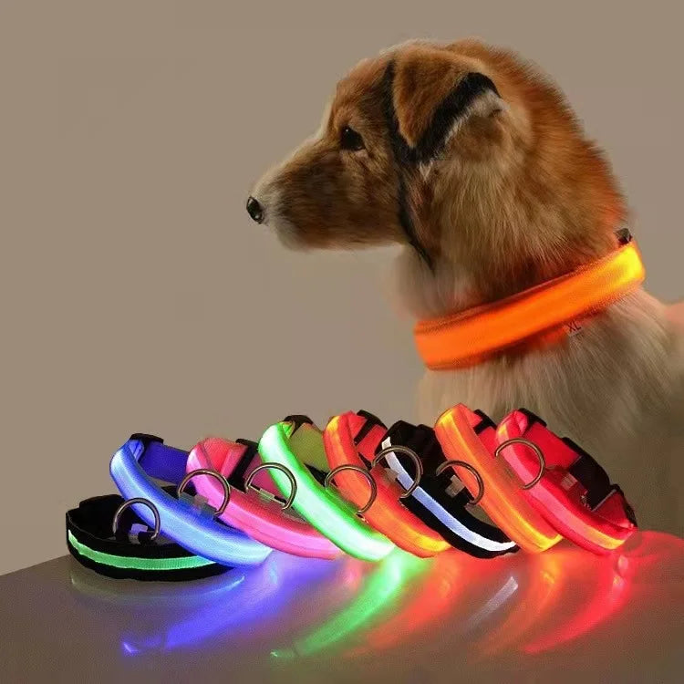 Collier LED Clignotant SinSky pour Animaux de Compagnie pour Visibilité et Sécurité Nocturnes
