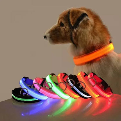 Collier LED Clignotant SinSky pour Animaux de Compagnie pour Visibilité et Sécurité Nocturnes