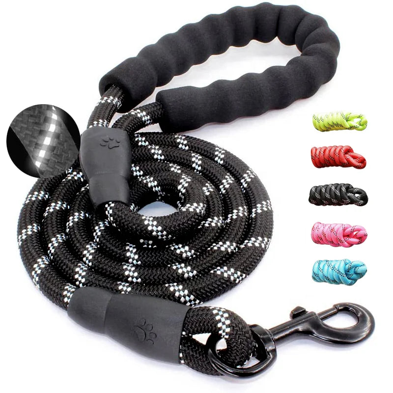Laisse pour Chien en Nylon Réfléchissant Bold pour Promenades Nocturnes Sécurisées