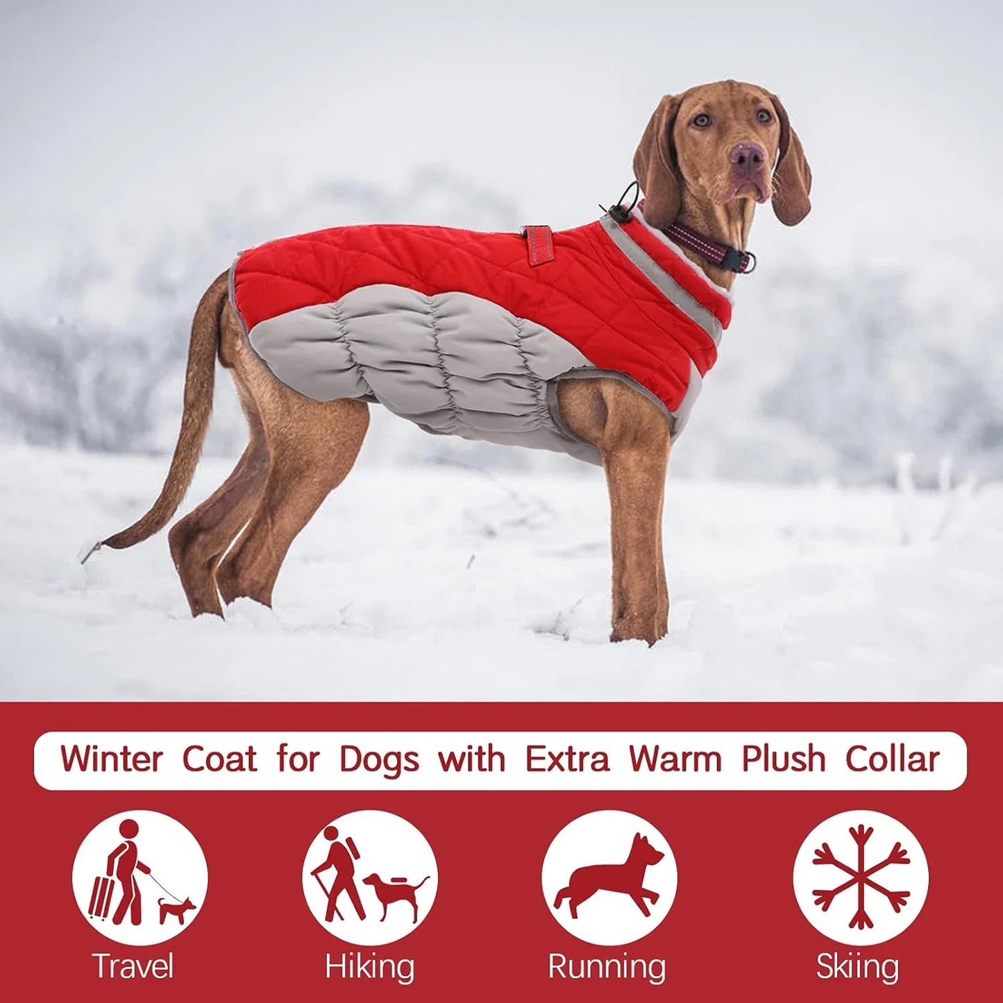 Manteau d'Hiver en Polaire Chaud pour Chien - Gilet Imprimé Écologique