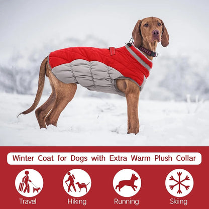 Manteau d'Hiver en Polaire Chaud pour Chien - Gilet Imprimé Écologique