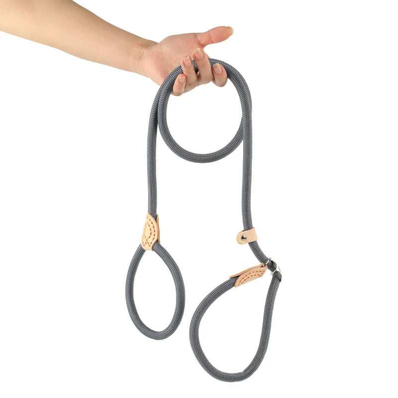 Laisse Coulissante en Nylon Durable pour Chien pour un Contrôle Sécurisé