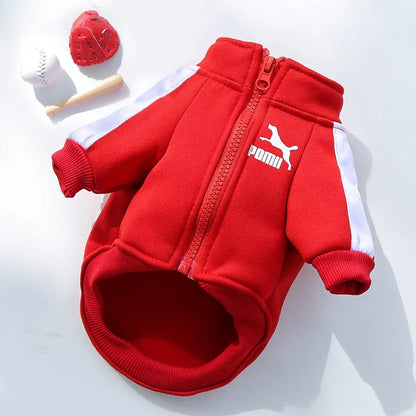 Gilet d'Hiver Classique et Chaud pour Chien - Manteau Isolant pour Animaux
