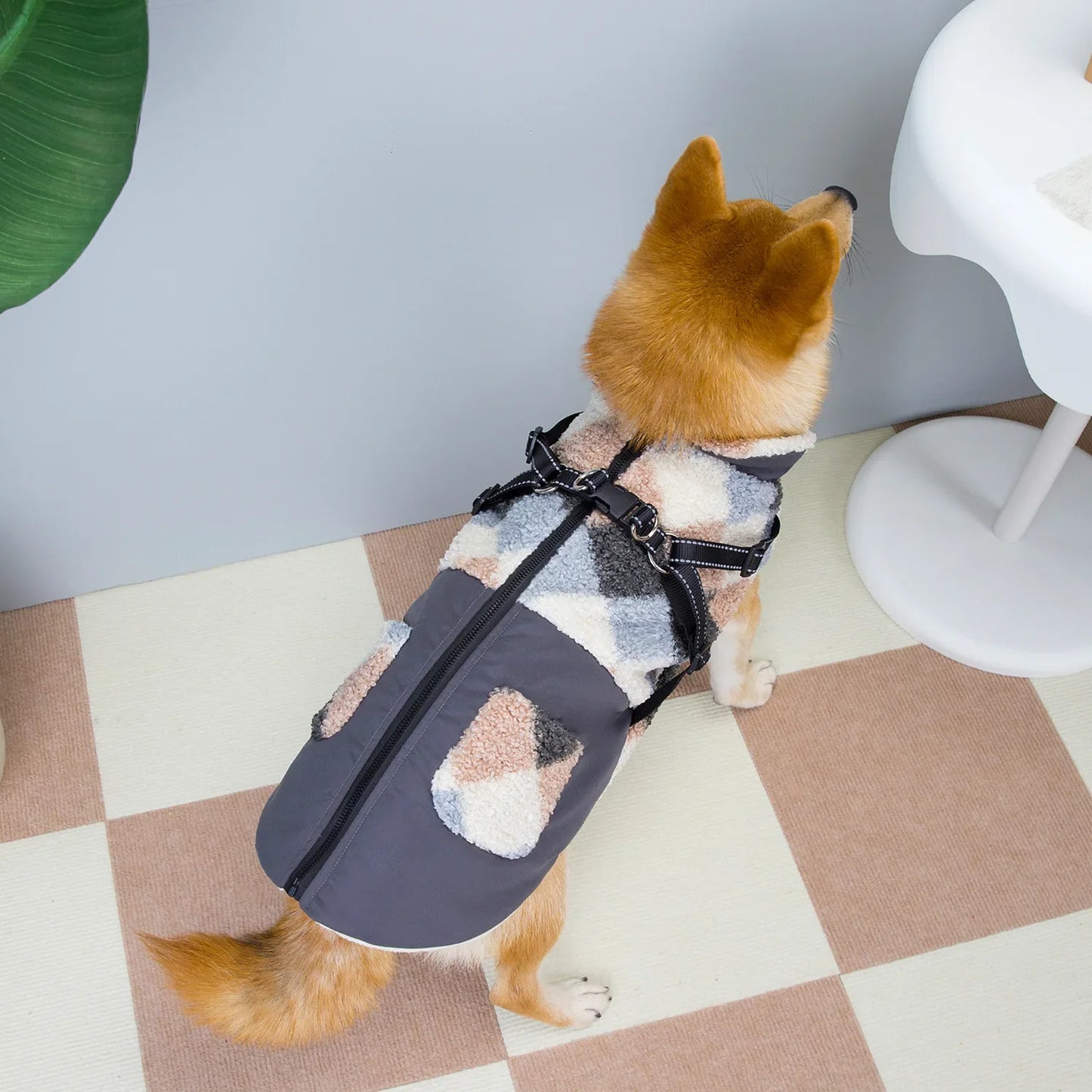 Manteau d'Hiver en Velours Granuleux Chaud pour Grands Chiens