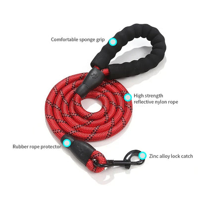 Laisse pour chien en nylon tressé robuste pour une promenade en toute sécurité