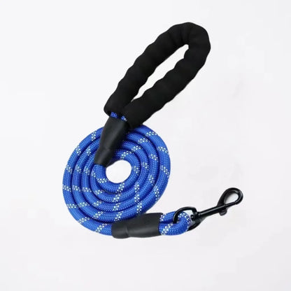 Laisse pour Chien en Nylon Réfléchissant Bold pour Promenades Nocturnes Sécurisées