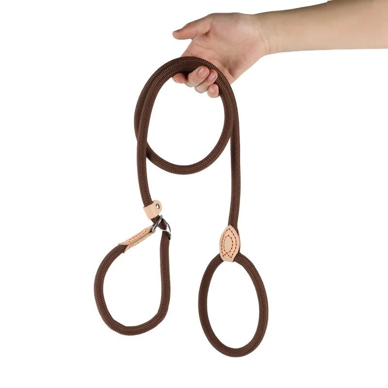 Laisse Coulissante en Nylon Durable pour Chien pour un Contrôle Sécurisé