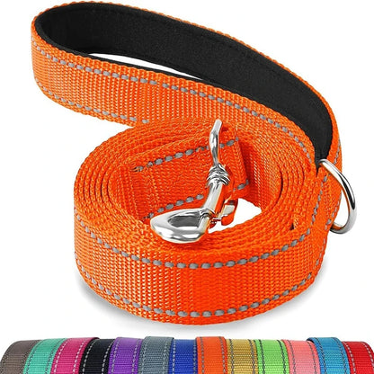 Laisse réglable en nylon réfléchissant pour chien pour des promenades quotidiennes sécurisées