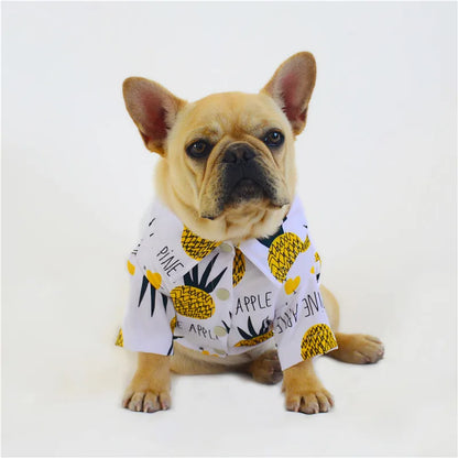 Sweat à Capuche Assorti en Coton VPETBR pour Chien et Propriétaire pour un Confort Quotidien