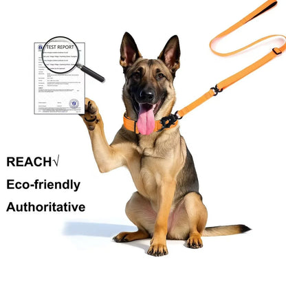 Collier Tactique Renforcé pour Chien avec Poignée de Contrôle