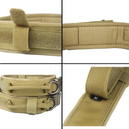Laisse de Dressage pour Chien en Nylon Durable pour Races Moyennes et Grandes