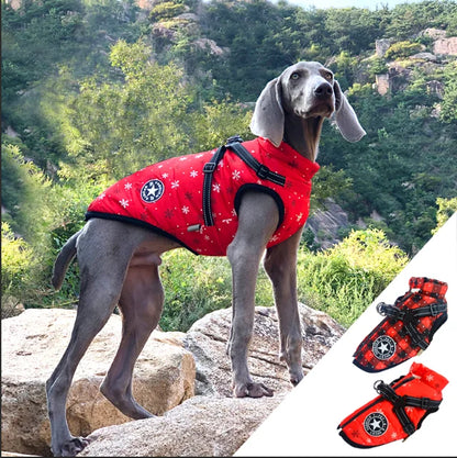 Manteau Ajustable Moderne pour Chien pour un Confort Toute l'Année