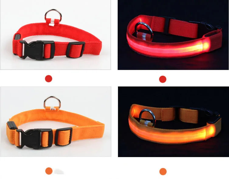 Collier LED Clignotant SinSky pour Animaux de Compagnie pour Visibilité et Sécurité Nocturnes