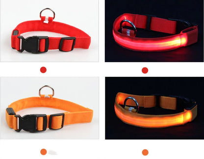 Collier LED Clignotant SinSky pour Animaux de Compagnie pour Visibilité et Sécurité Nocturnes