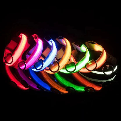 Collier LED Clignotant SinSky pour Animaux de Compagnie pour Visibilité et Sécurité Nocturnes