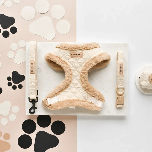 Ensemble harnais réfléchissant ajustable pour animaux pour des promenades confortables