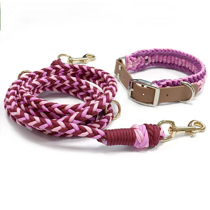 Ensemble Collier et Laisse Imperméable Robuste pour Chien - Taille M