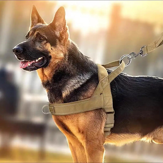 Harnais Tactique pour Chien en Nylon Durable avec Ajustement Réglable