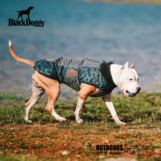Manteau d'hiver en coton BlackDoggy pour chien pour l'exploration en plein air