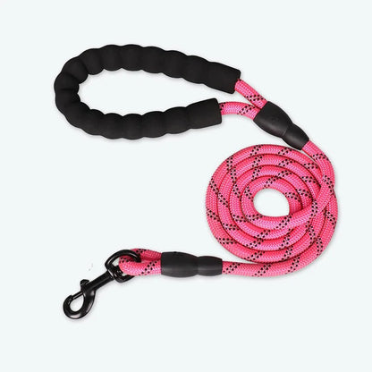 Laisse pour Chien en Nylon Réfléchissant Bold pour Promenades Nocturnes Sécurisées