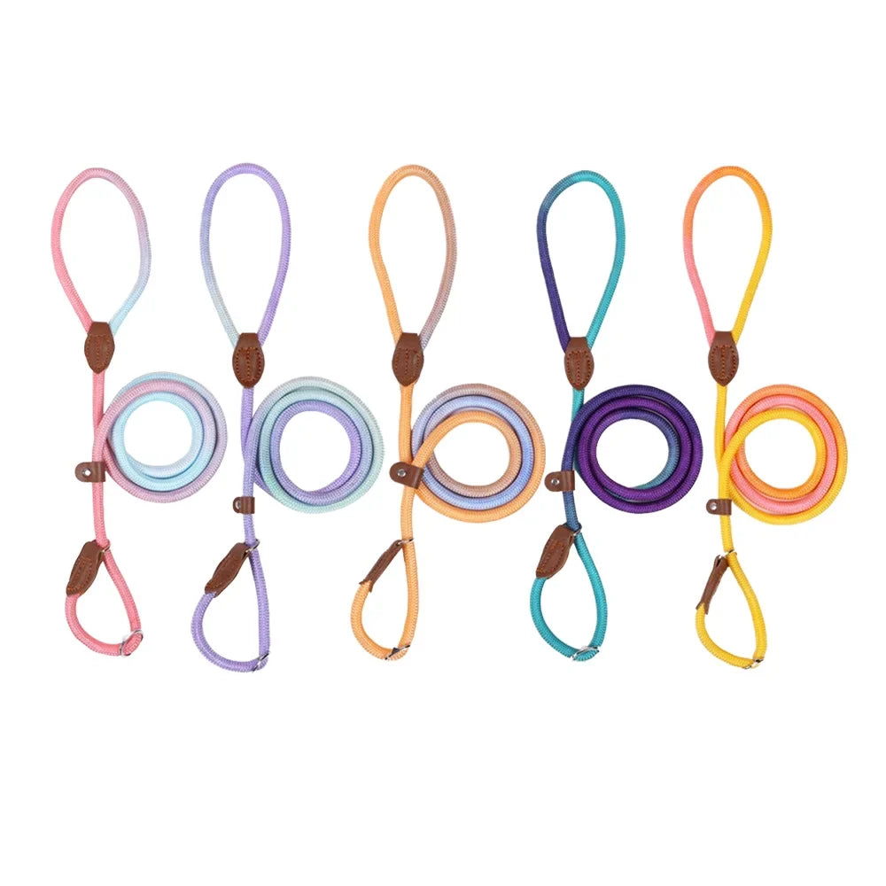 Laisse Coulissante en Nylon Durable pour Chien pour un Contrôle Sécurisé