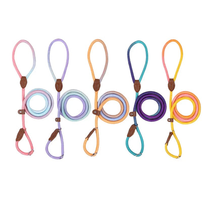 Laisse Coulissante en Nylon Durable pour Chien pour un Contrôle Sécurisé
