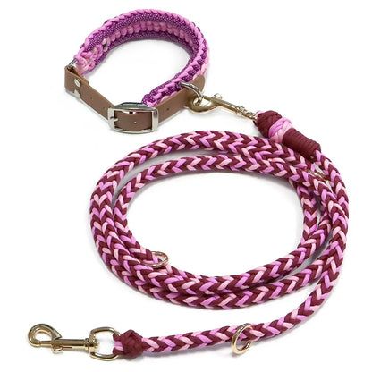 Ensemble Collier et Laisse Imperméable Robuste pour Chien - Taille M