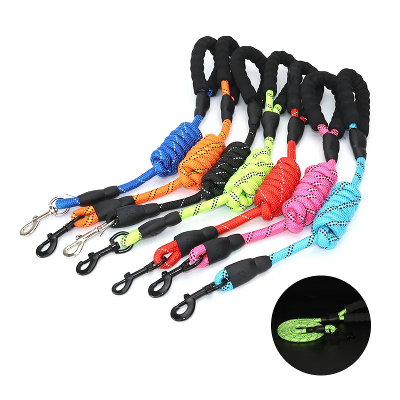 Laisse pour chien en nylon tressé robuste pour une promenade en toute sécurité