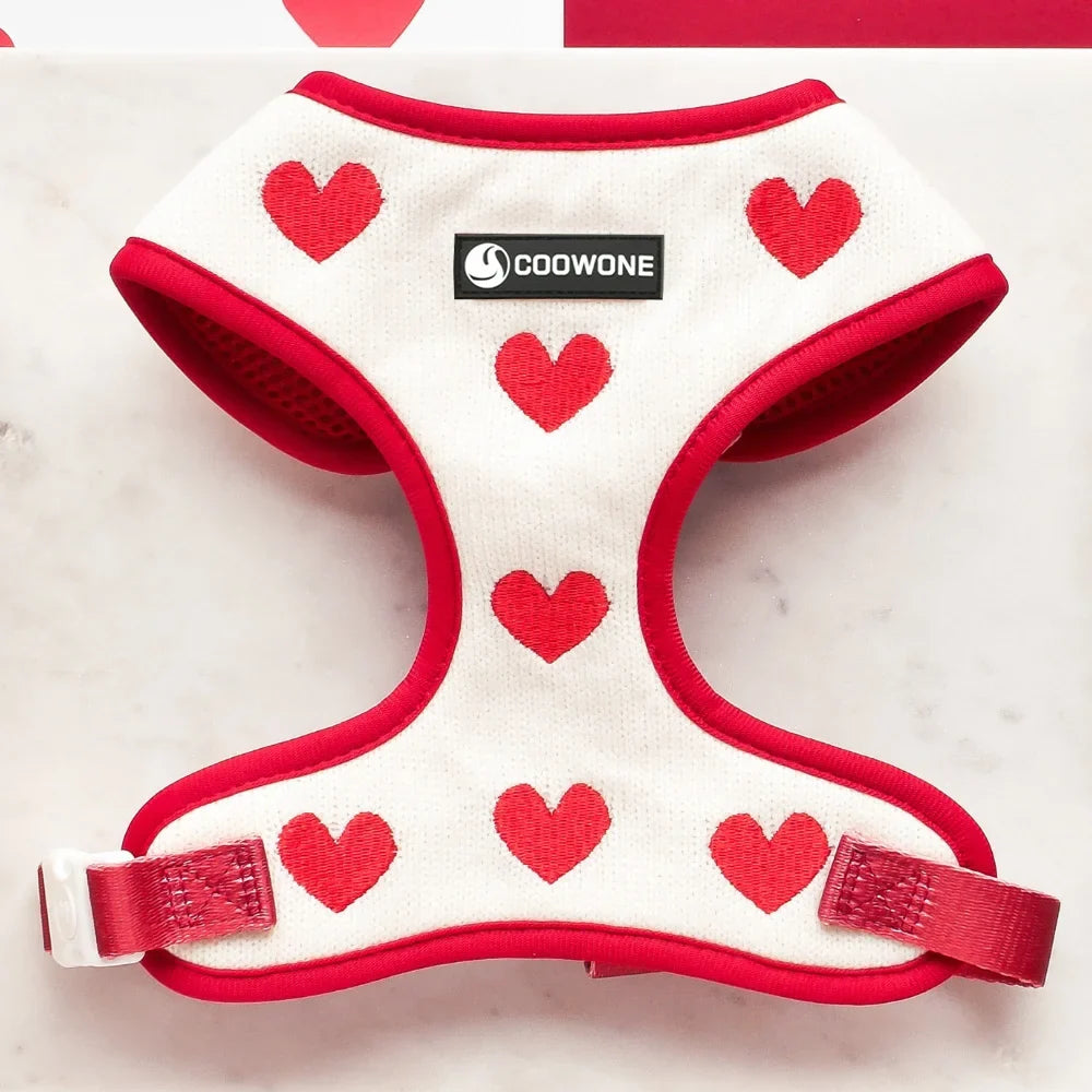 Ensemble de Harnais Ajustable en Tricot pour Animaux pour des Promenades Confortables